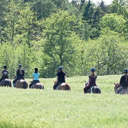 Luxuswellnesshaus Seepferdchen Dom wakacyjny